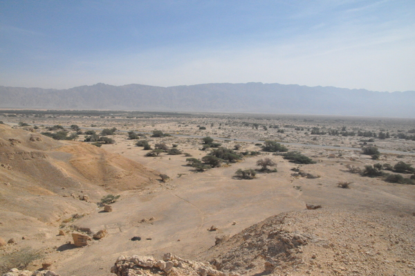 Оазис Йотвата, место остановки евреев (слева на дальнем плане) и римская крепость (справа перед современной дорогой); вид с запада
